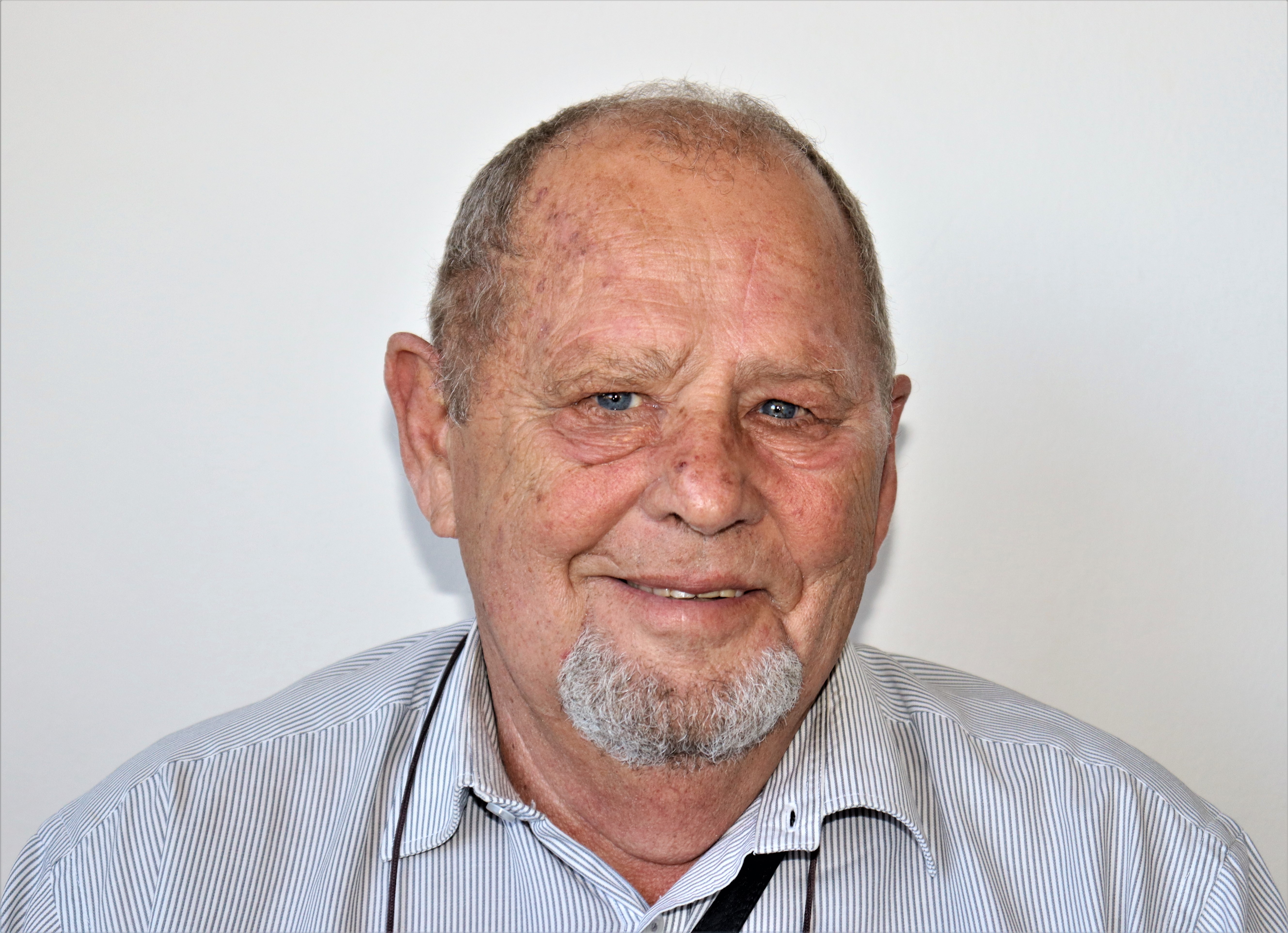 Willem J Nel