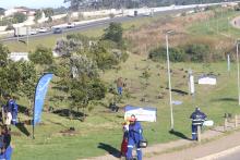 Wild view of Mandela Park