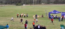  Bitou elderly fly Plett flag high at District Golden Games